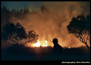 wandeling-apichatpong