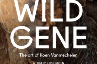 wild_gene