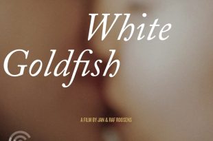 affiche-white-goldfish