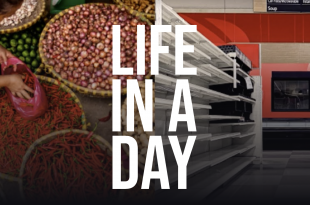 Life-in-a-day