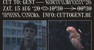 cut-to-gent-kortfilm-festival