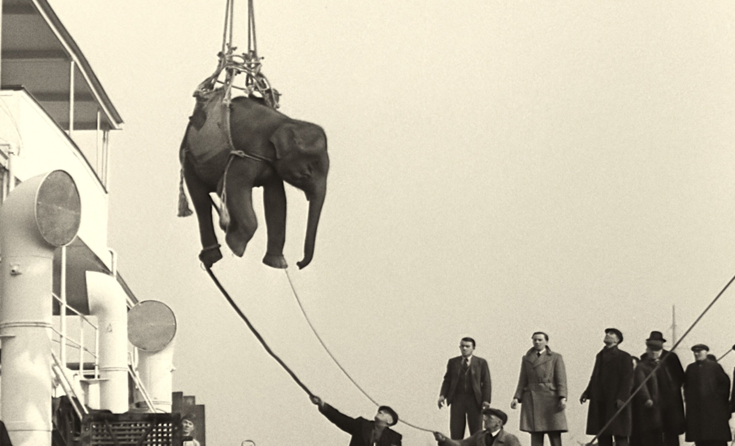 Soundtrack to a coup d'etat